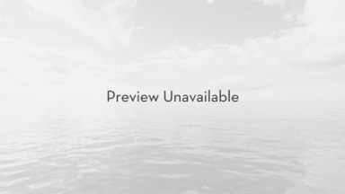 Preview Unavailable