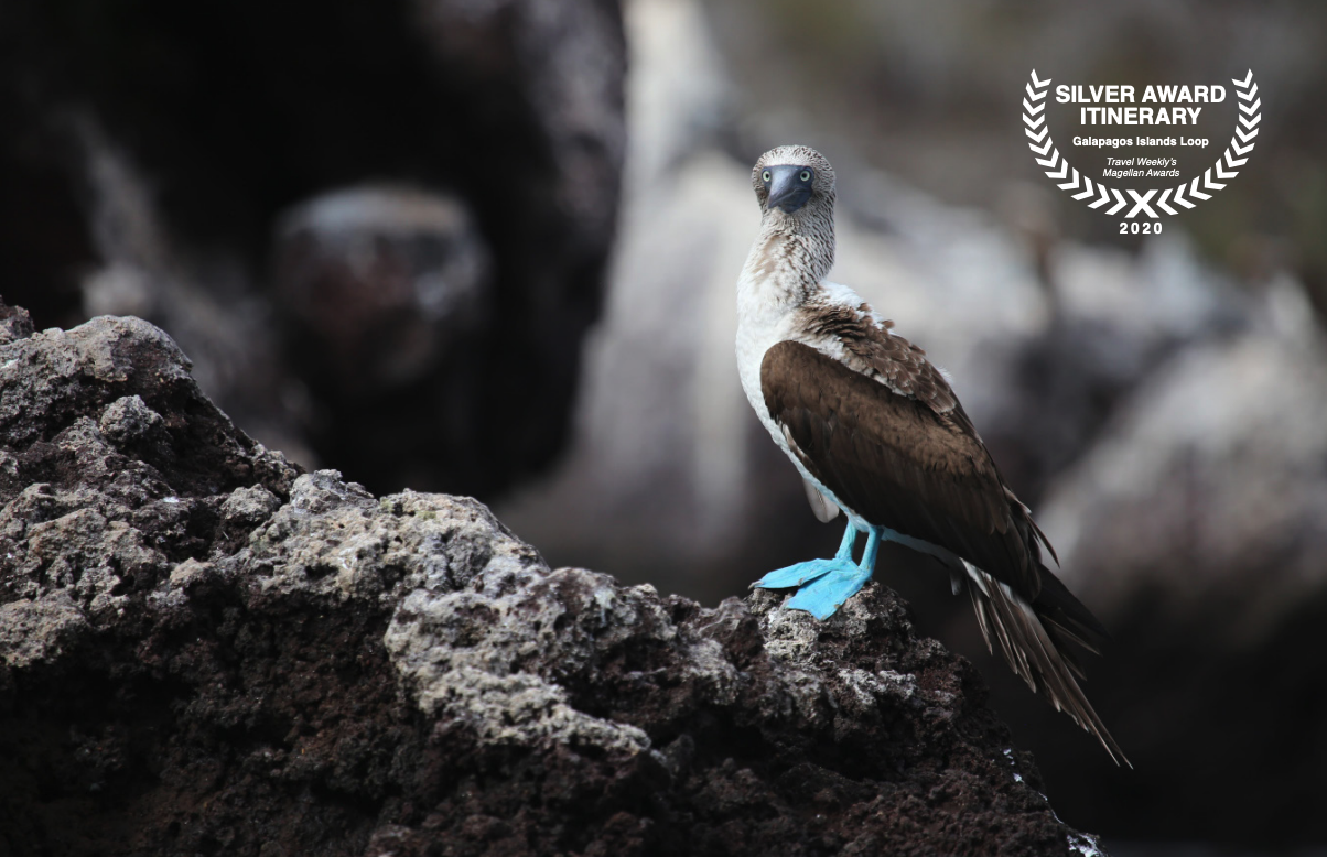 Galapagos_20percent_Savings_Offer