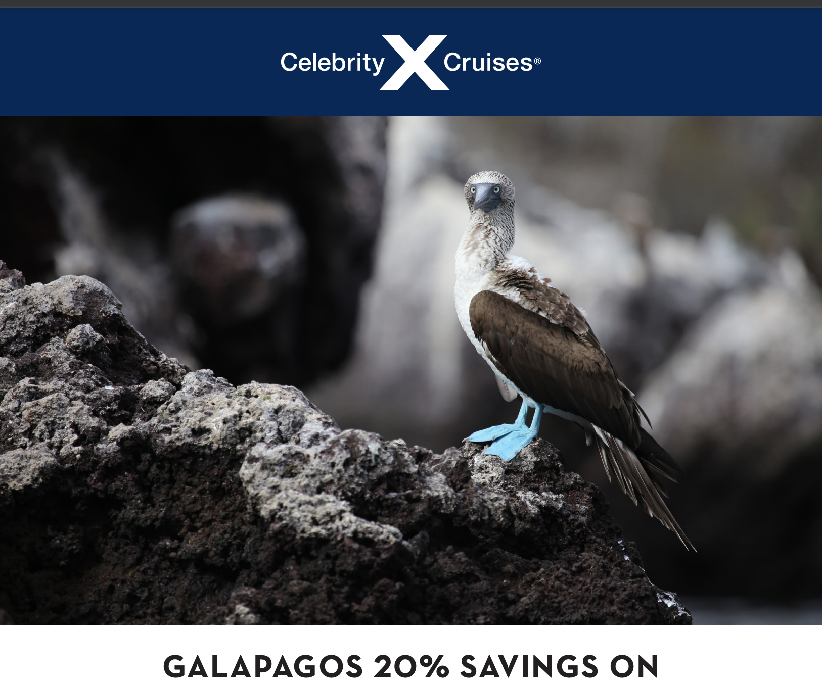 Galapagos 20% savings