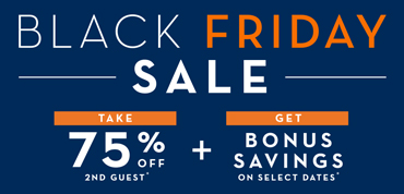 BLACK FRIDAY SALE